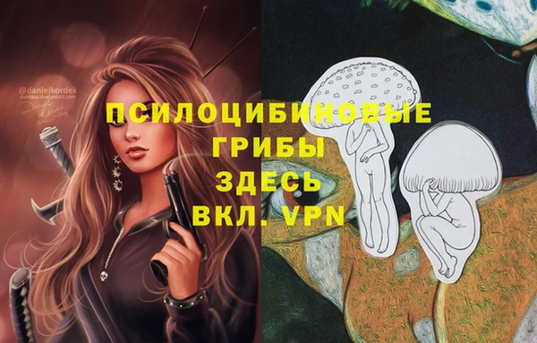 марки lsd Липки