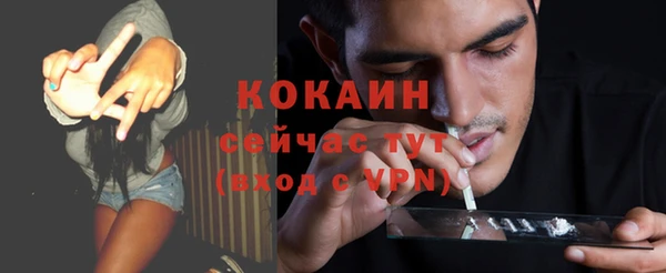 дмт Лиски