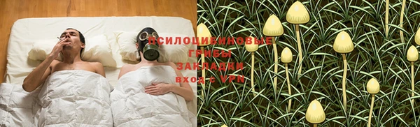 дмт Лиски