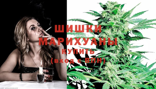 стафф Ладушкин