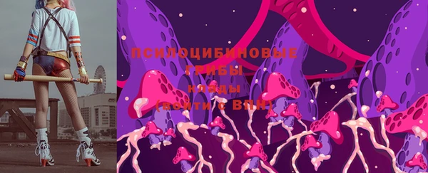 дмт Лиски