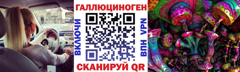 Купить закладки  Донской  Псилоцибиновые грибы Psilocybe 